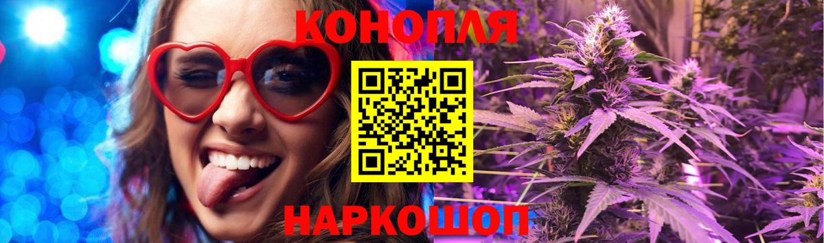 Каннабис индика Полевской